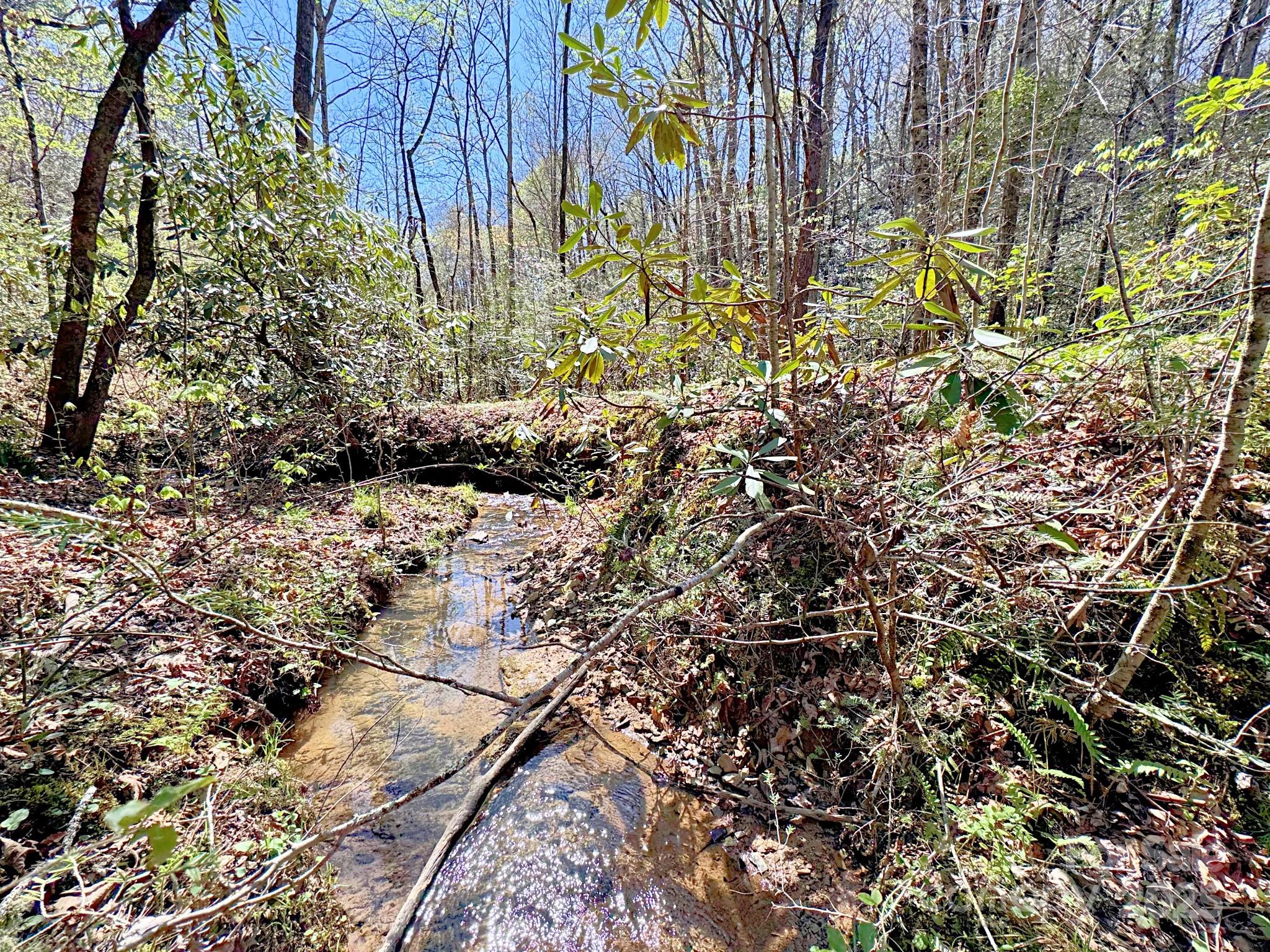 0 Mackey Creek Road Property Photo 3