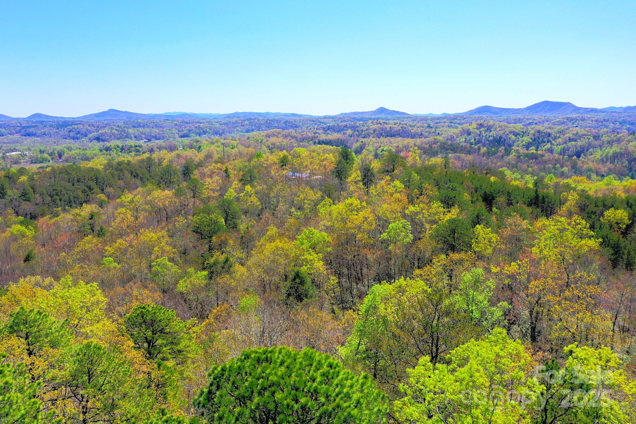 0 Mackey Creek Road Property Photo 4