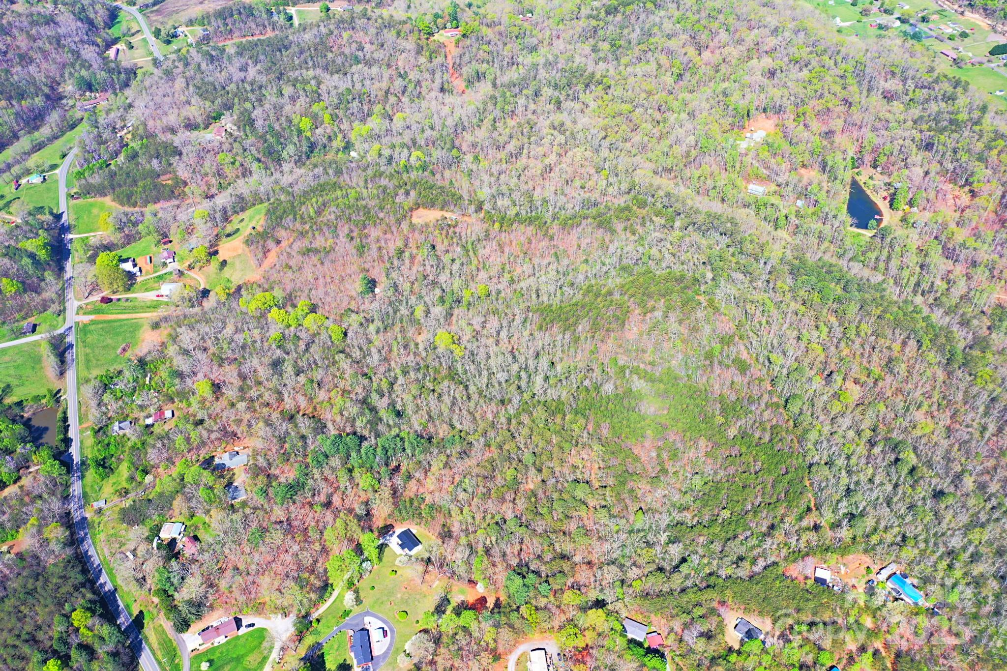 0 Mackey Creek Road Property Photo 5