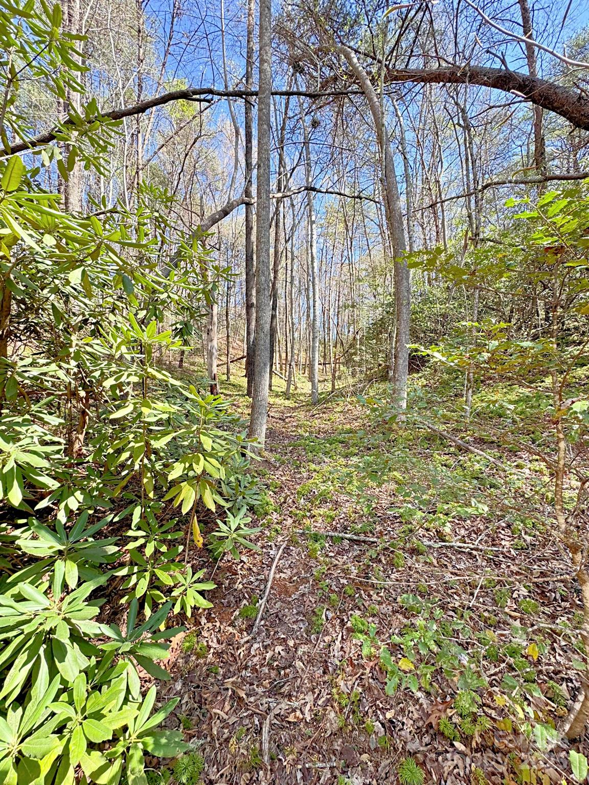 0 Mackey Creek Road Property Photo 7