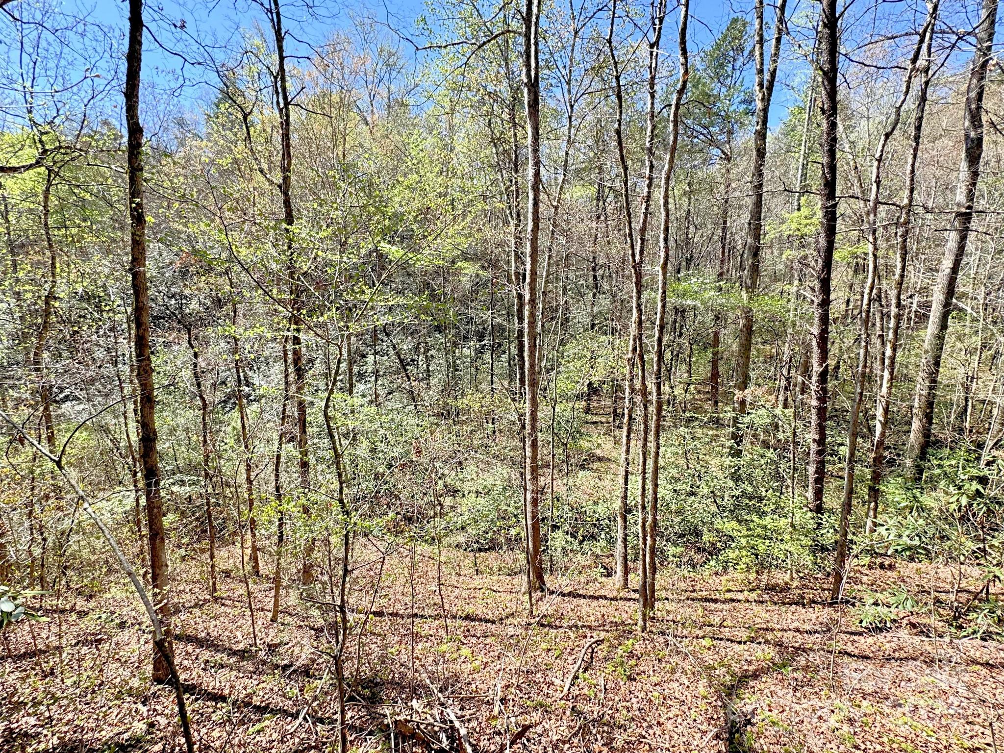 0 Mackey Creek Road Property Photo 8