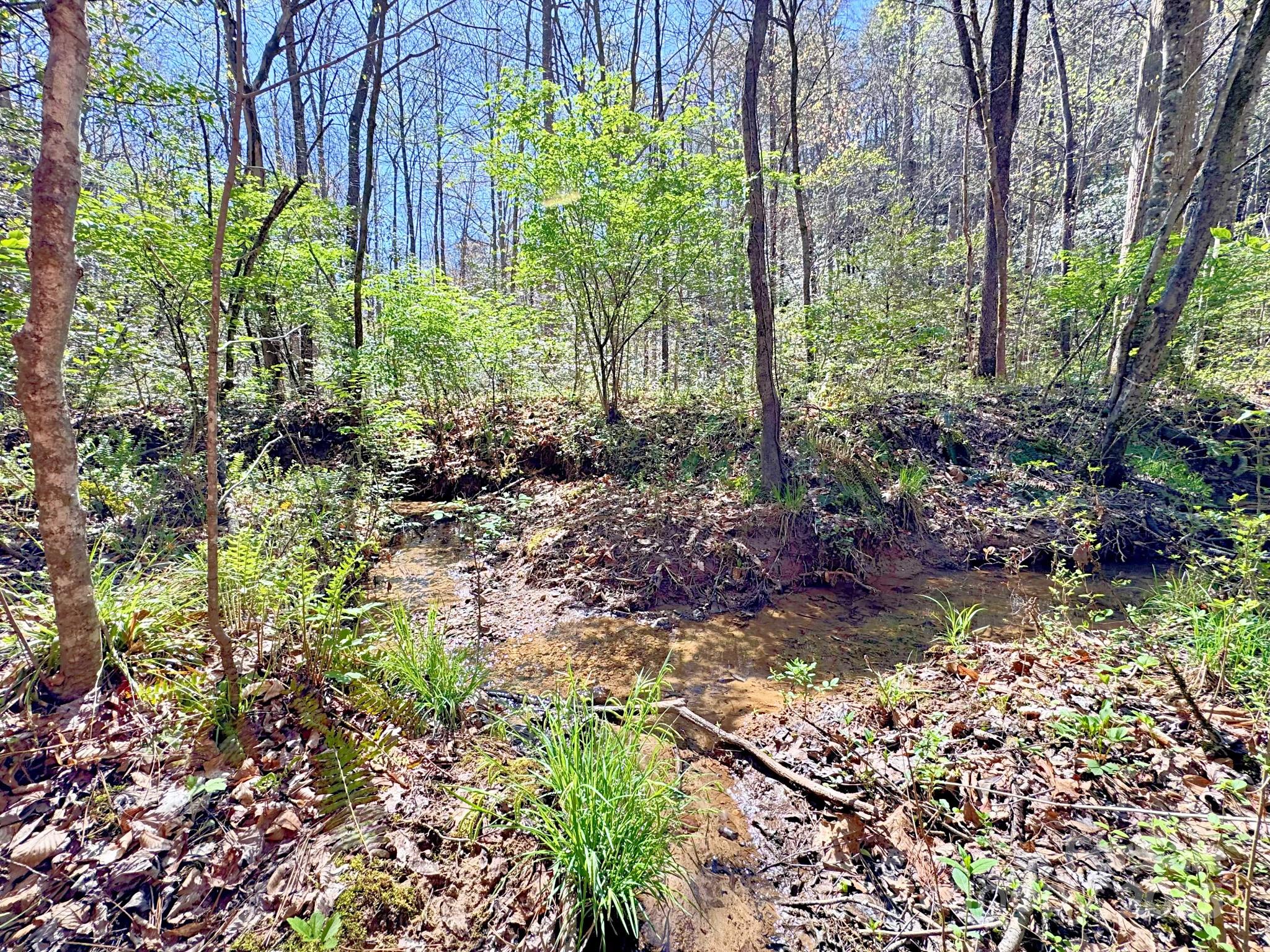 0 Mackey Creek Road Property Photo 11