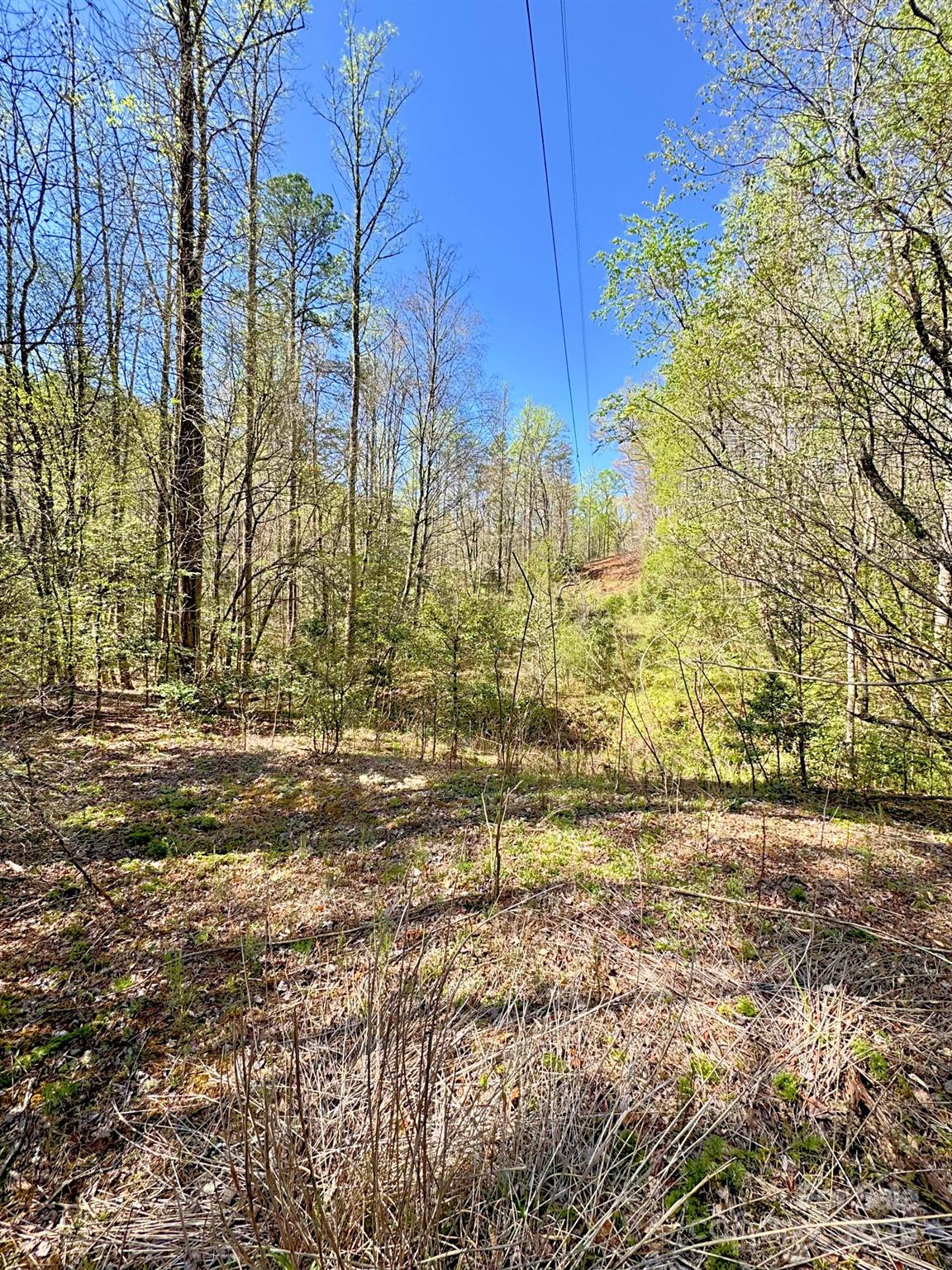 0 Mackey Creek Road Property Photo 12