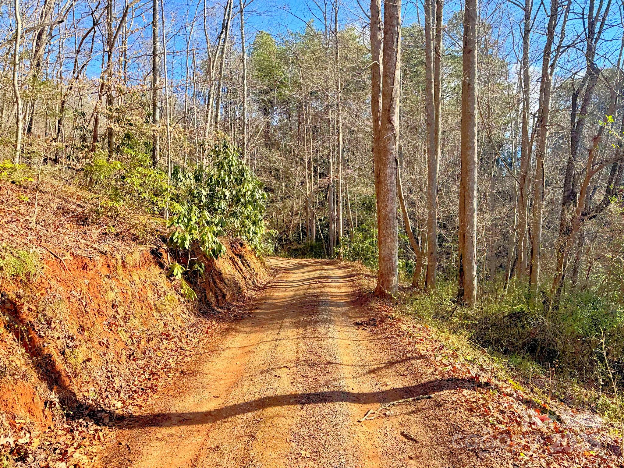 0 Mackey Creek Road Property Photo 14