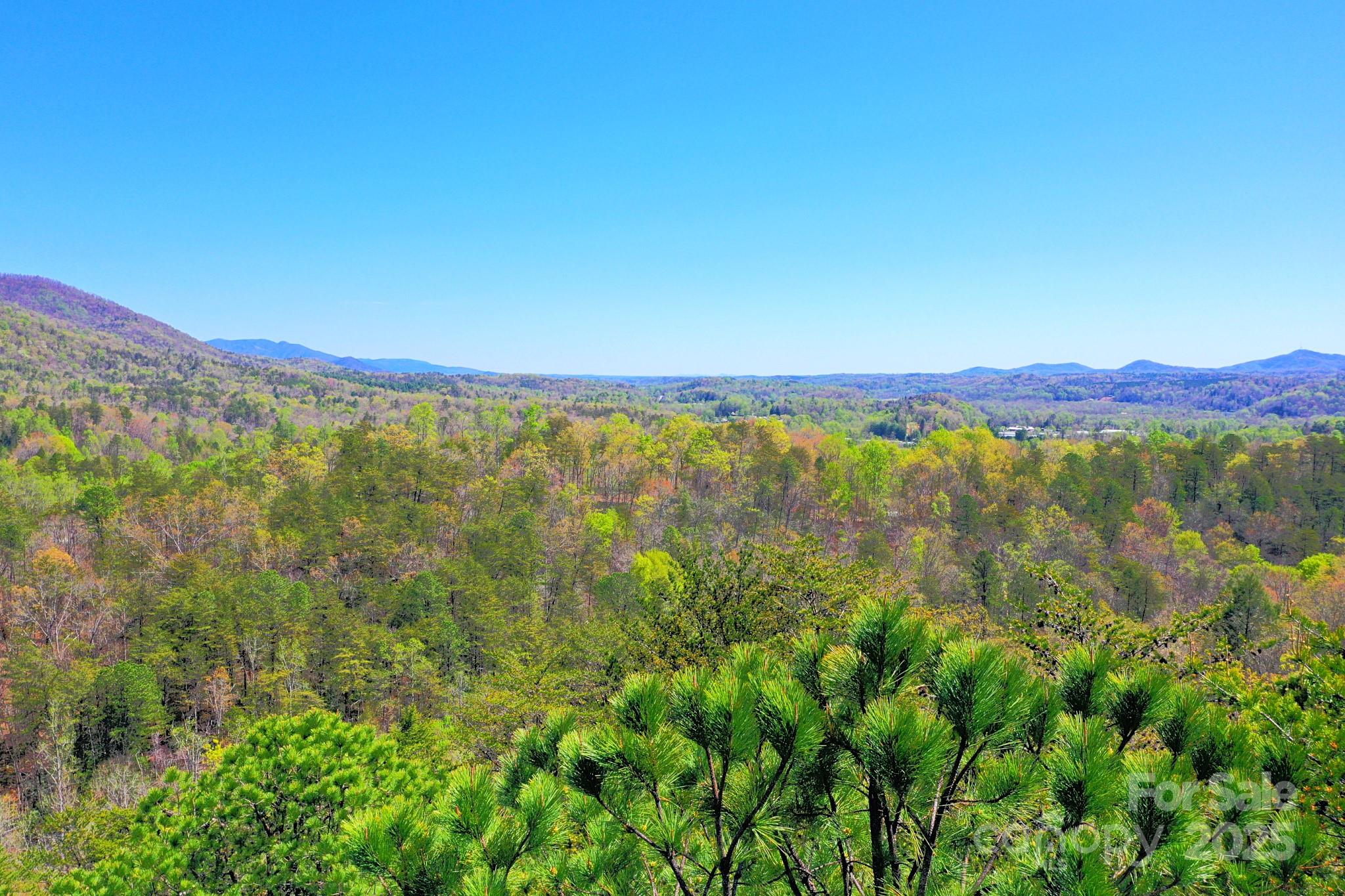 0 Mackey Creek Road Property Photo 15
