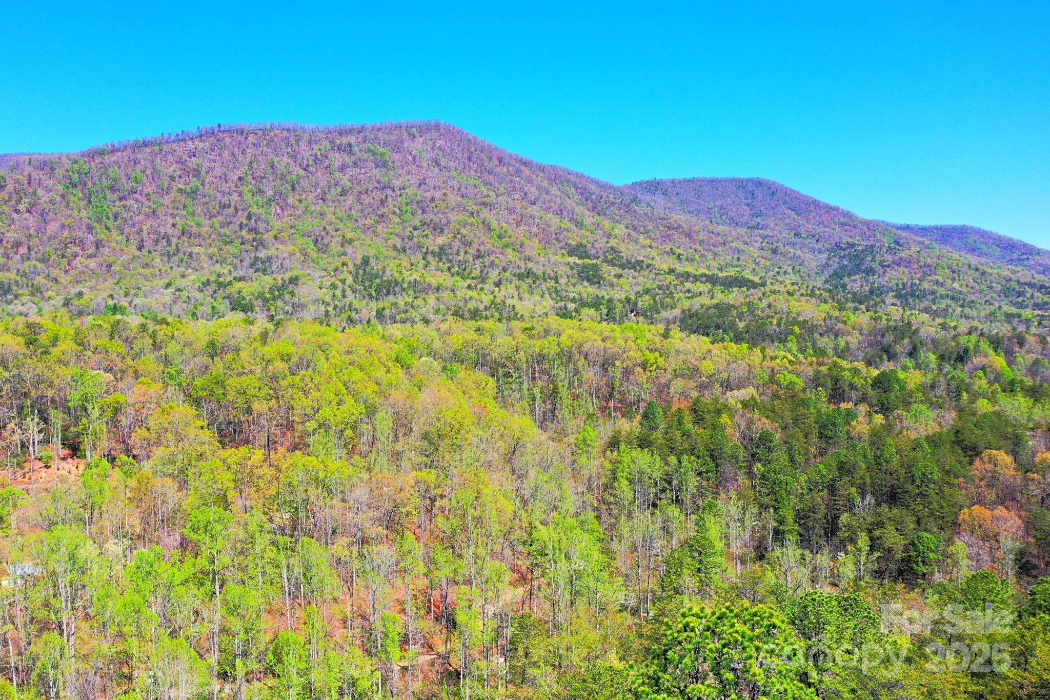 0 Mackey Creek Road Property Photo 16