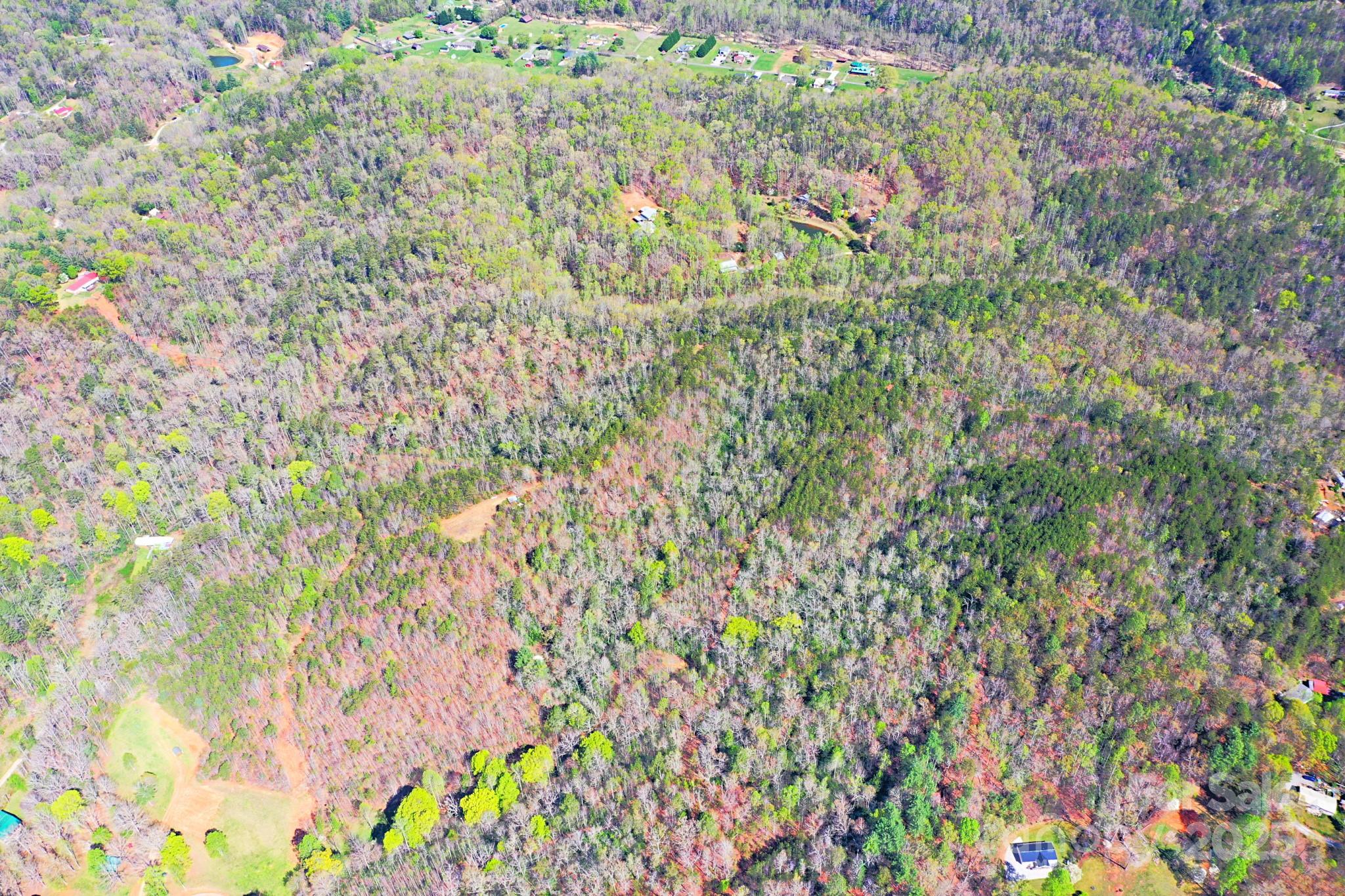 0 Mackey Creek Road Property Photo 17