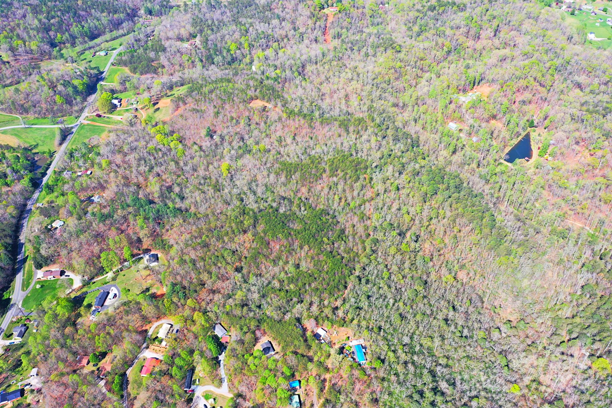 0 Mackey Creek Road Property Photo 19