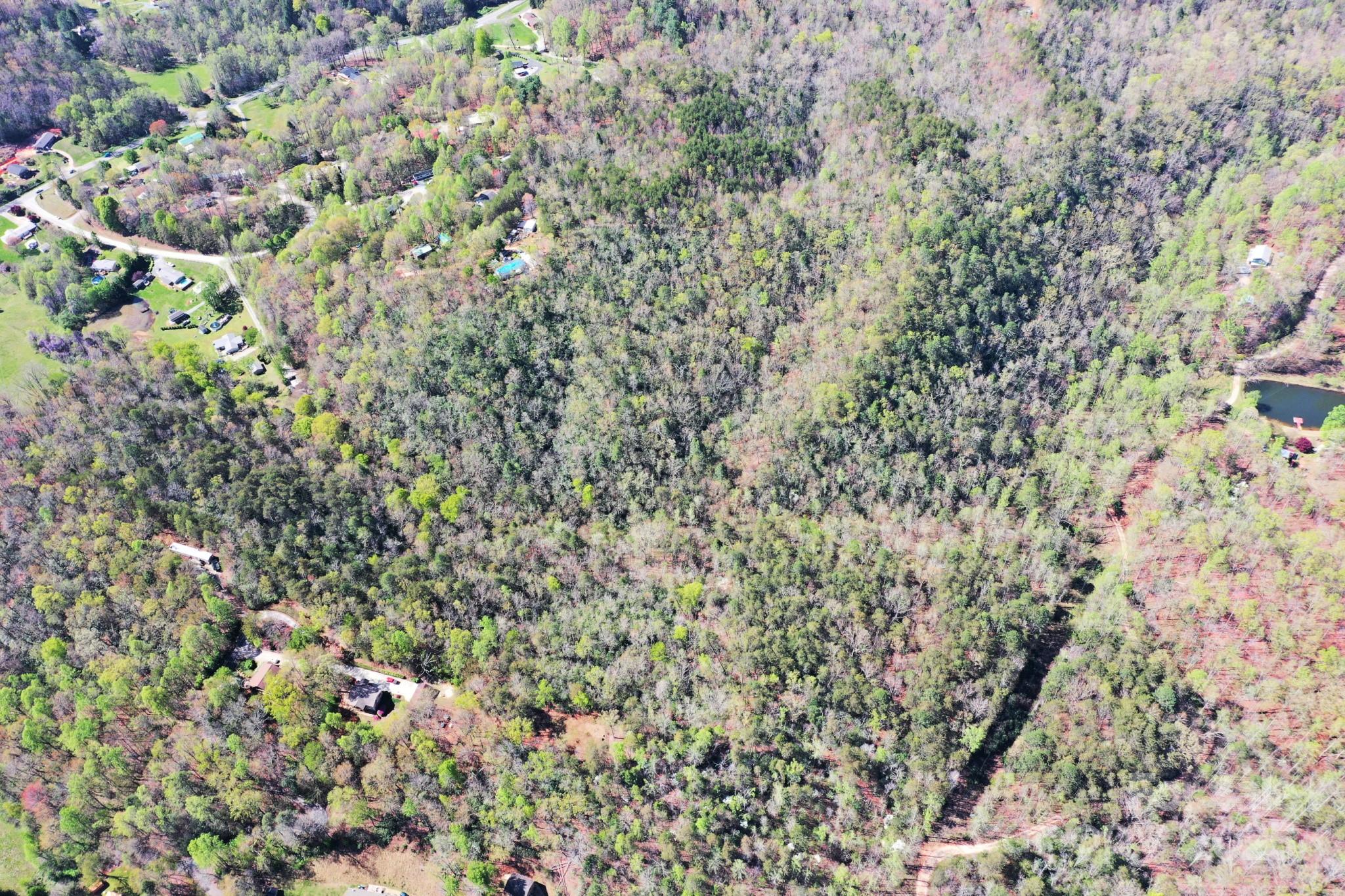 0 Mackey Creek Road Property Photo 21