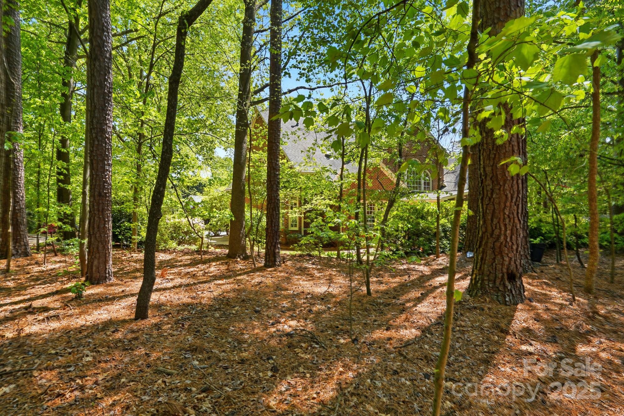 6009 Glen Manor Drive Property Photo 45