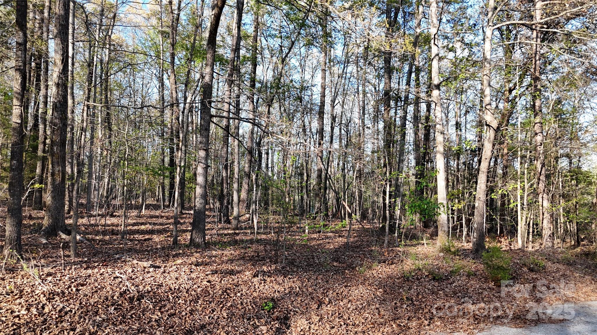 00 Richardson Creek Lane Property Photo 1