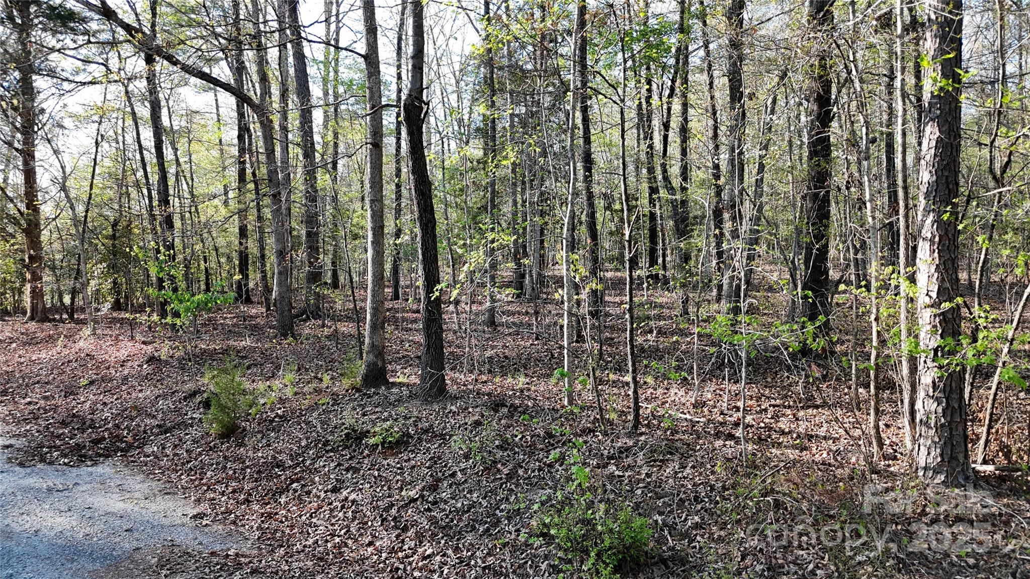 00 Richardson Creek Lane Property Photo 4