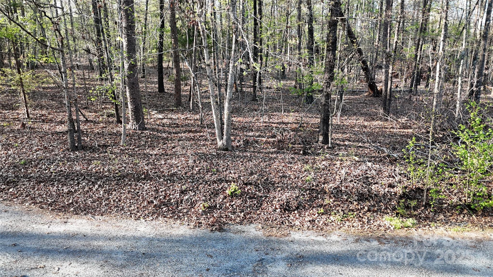 00 Richardson Creek Lane Property Photo 5