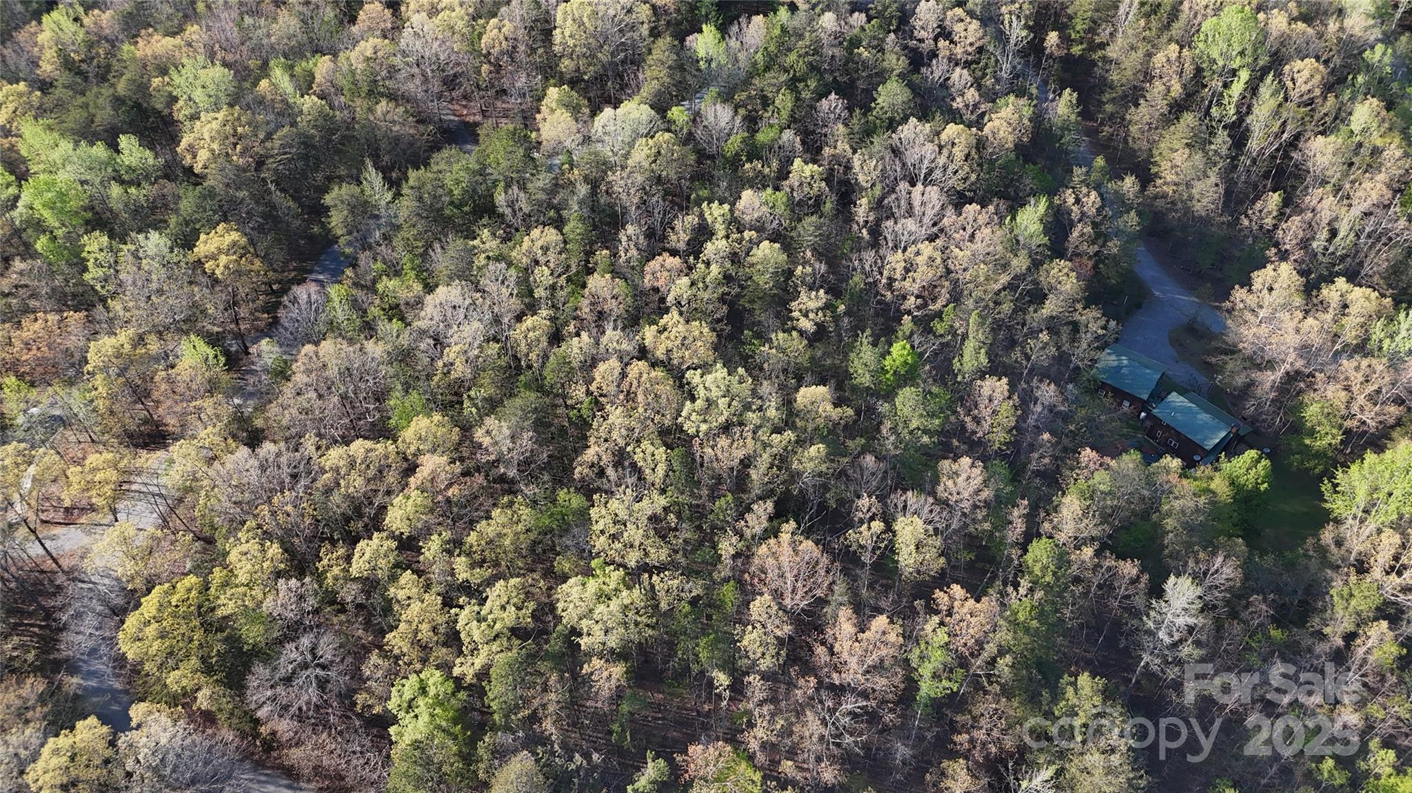 00 Richardson Creek Lane Property Photo 6