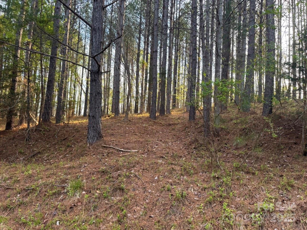 0 Clearwater Parkway Property Photo 3