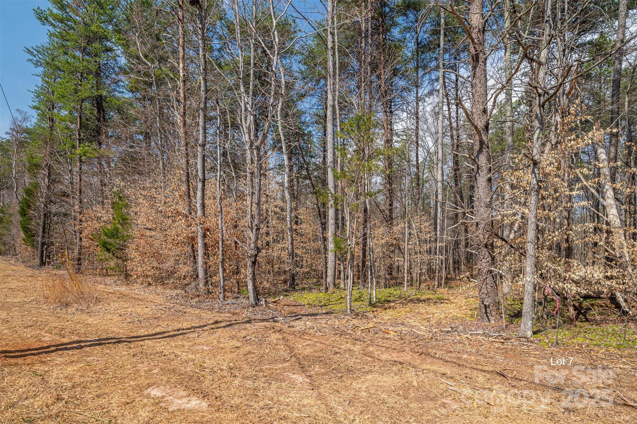 00 Forney Hill Road 7 Property Photo 7