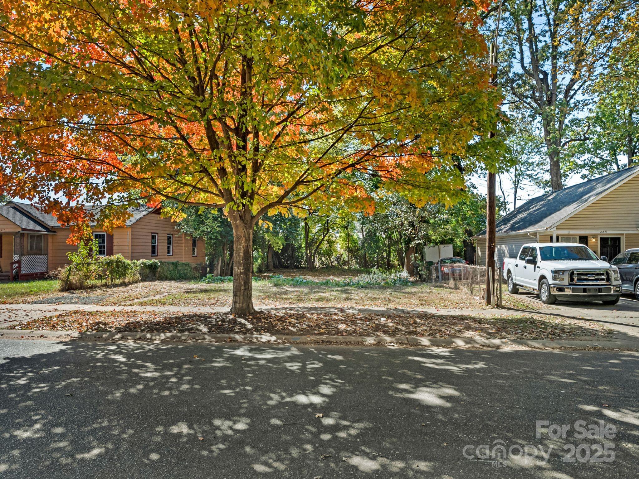 221 Plymouth Avenue Property Photo