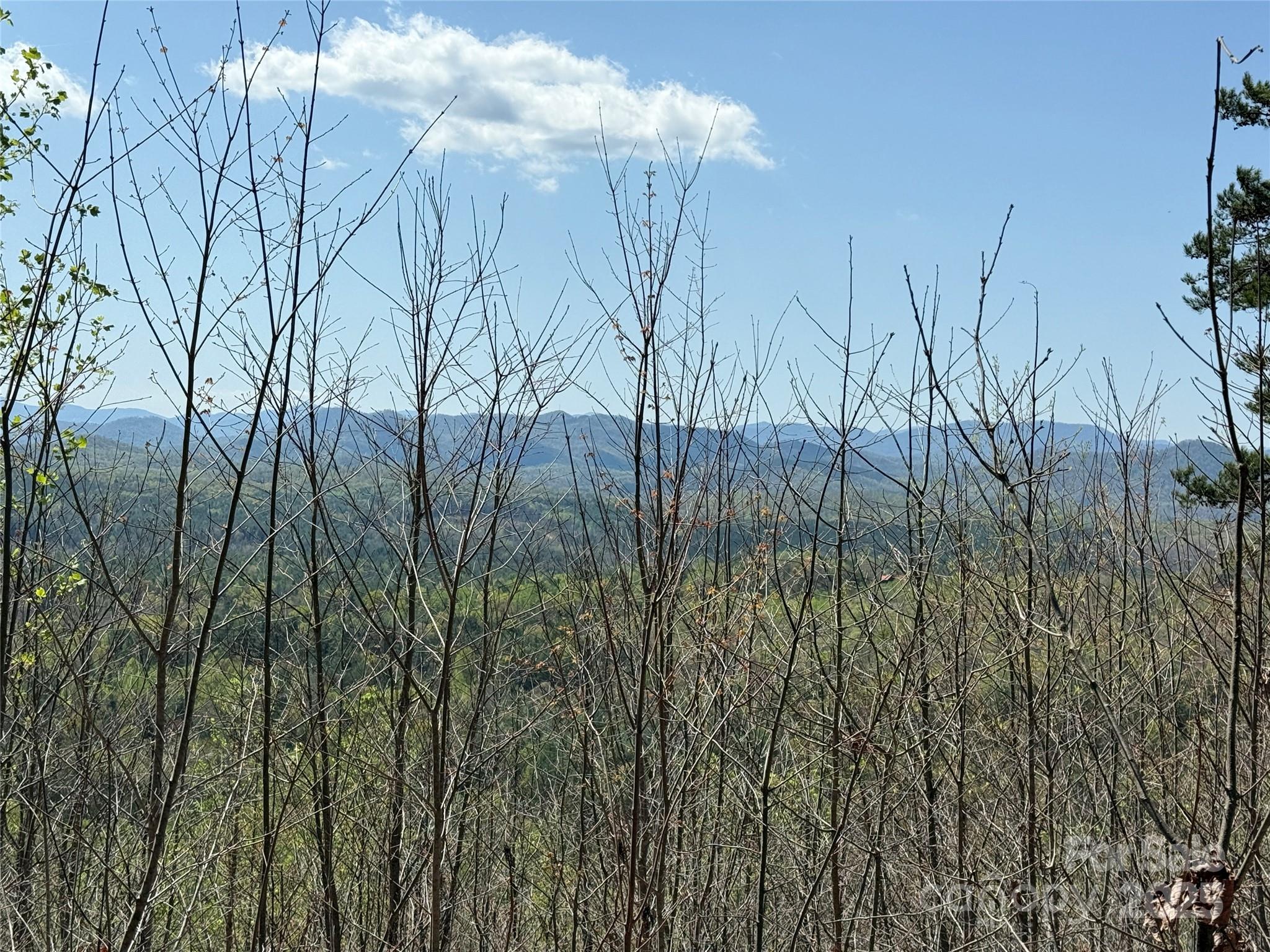 183 Woodgate Trail 103 Property Photo 26