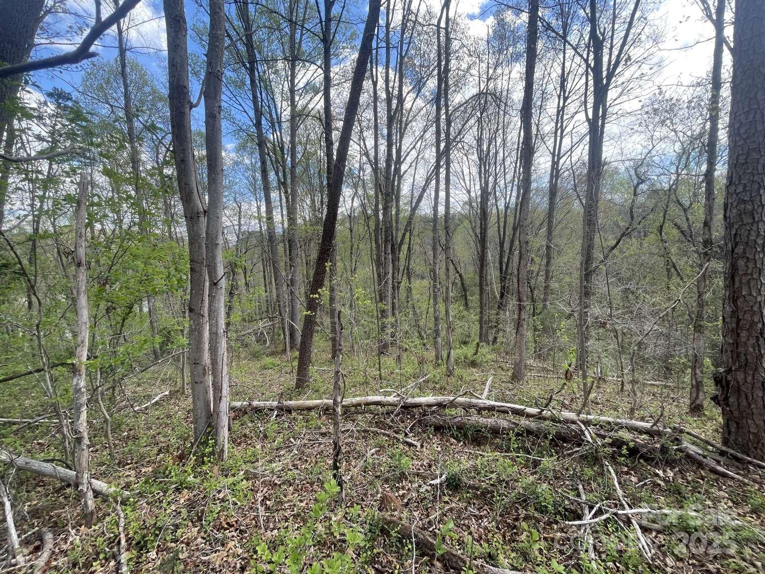 165 Richmond Ridge Road Property Photo 3