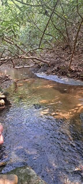 4027 Skyline Drive Property Photo 2