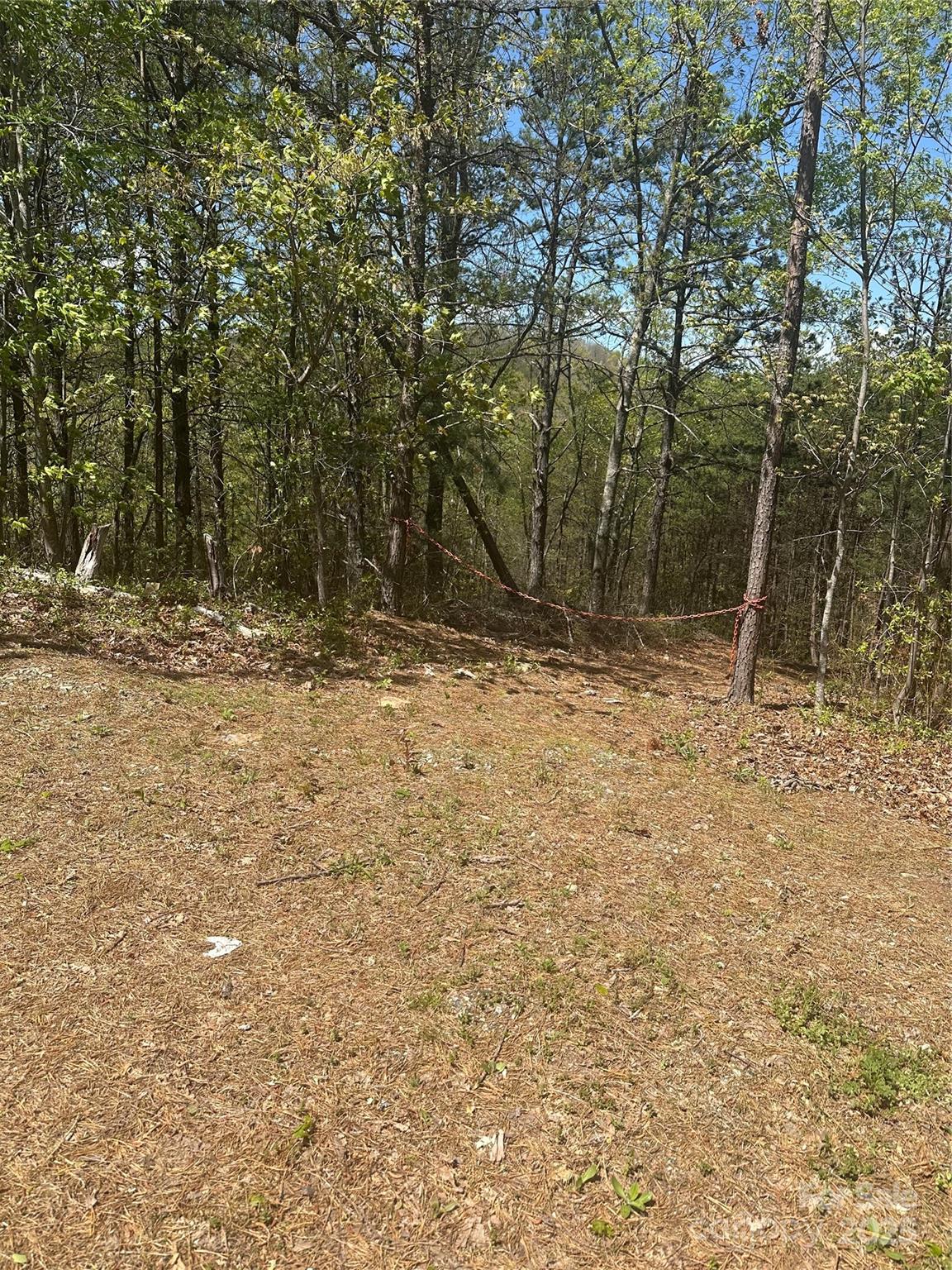 4027 Skyline Drive Property Photo 3