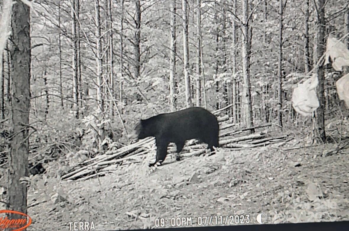 4027 Skyline Drive Property Photo 4