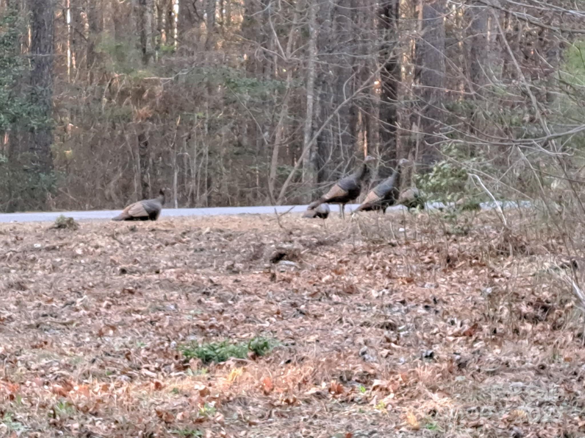 4027 Skyline Drive Property Photo 5