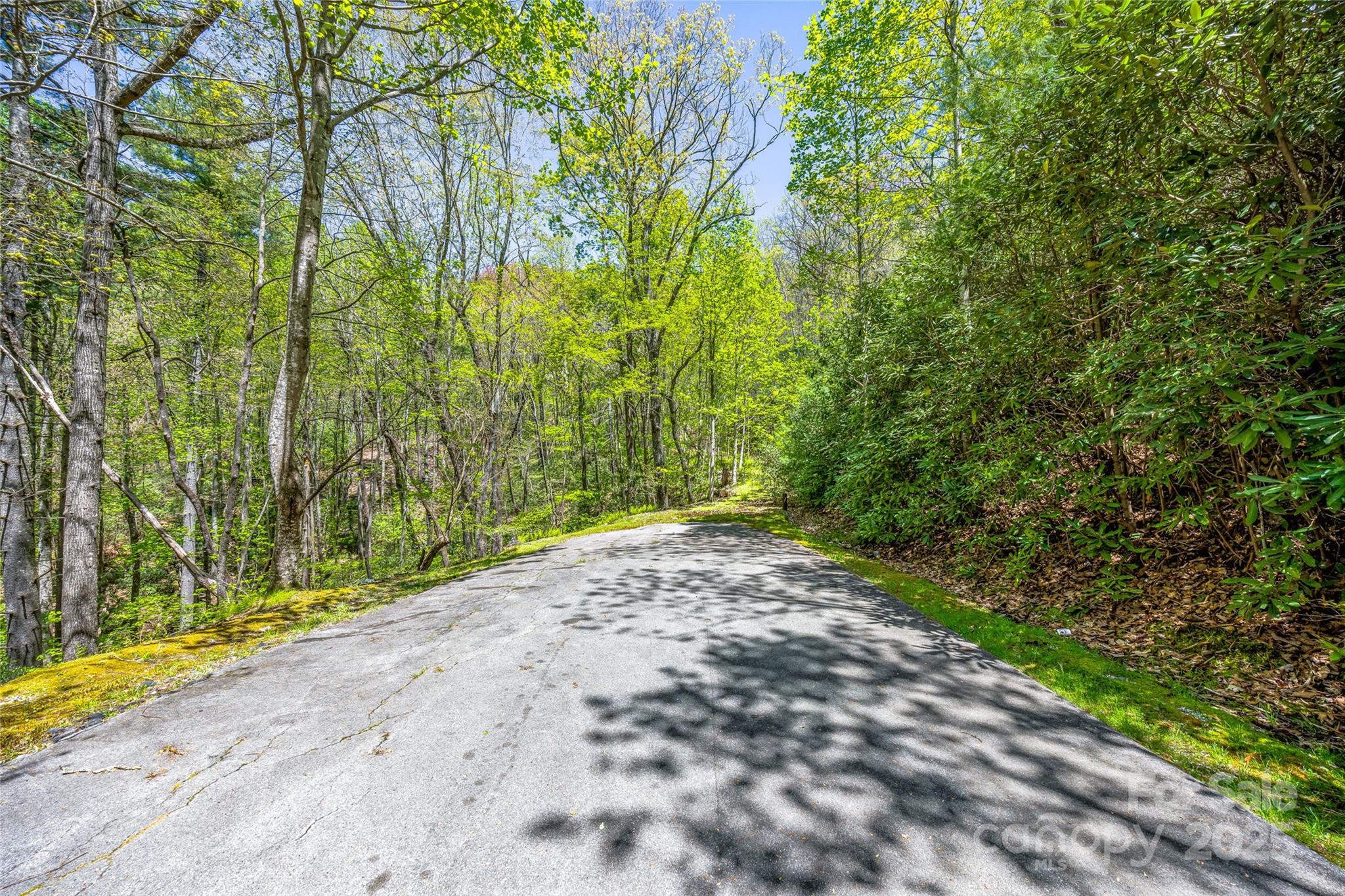 Lot 3a Mountain View Road Property Photo 5