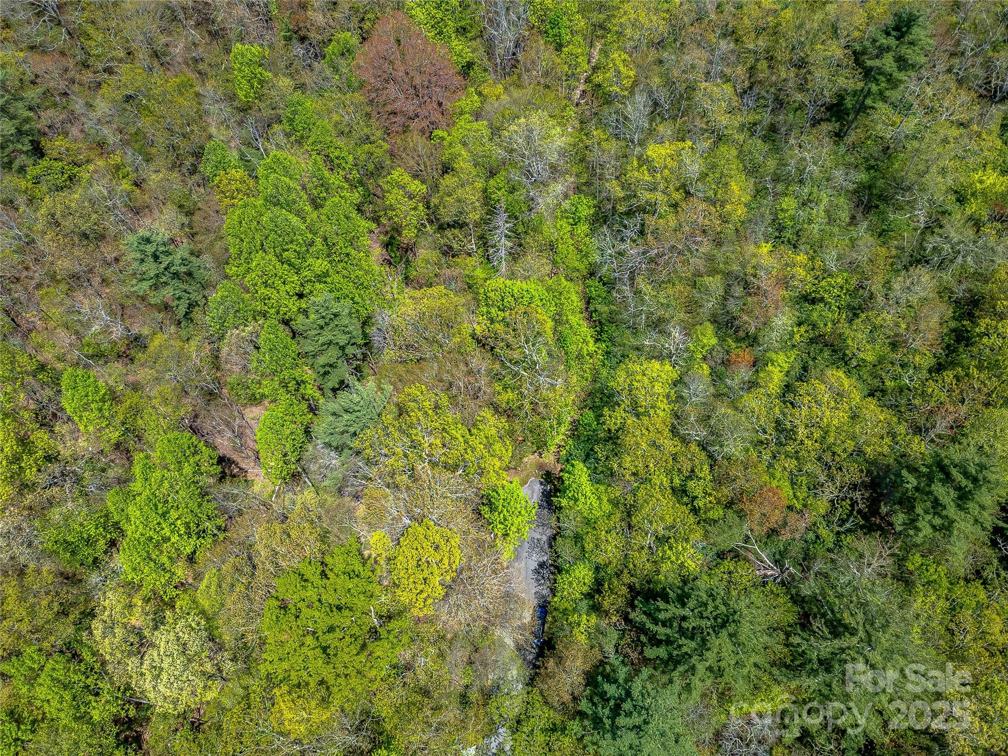 Lot 3a Mountain View Road Property Photo 9