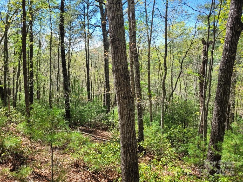 Lot 21 Little Fox Run Property Photo 4