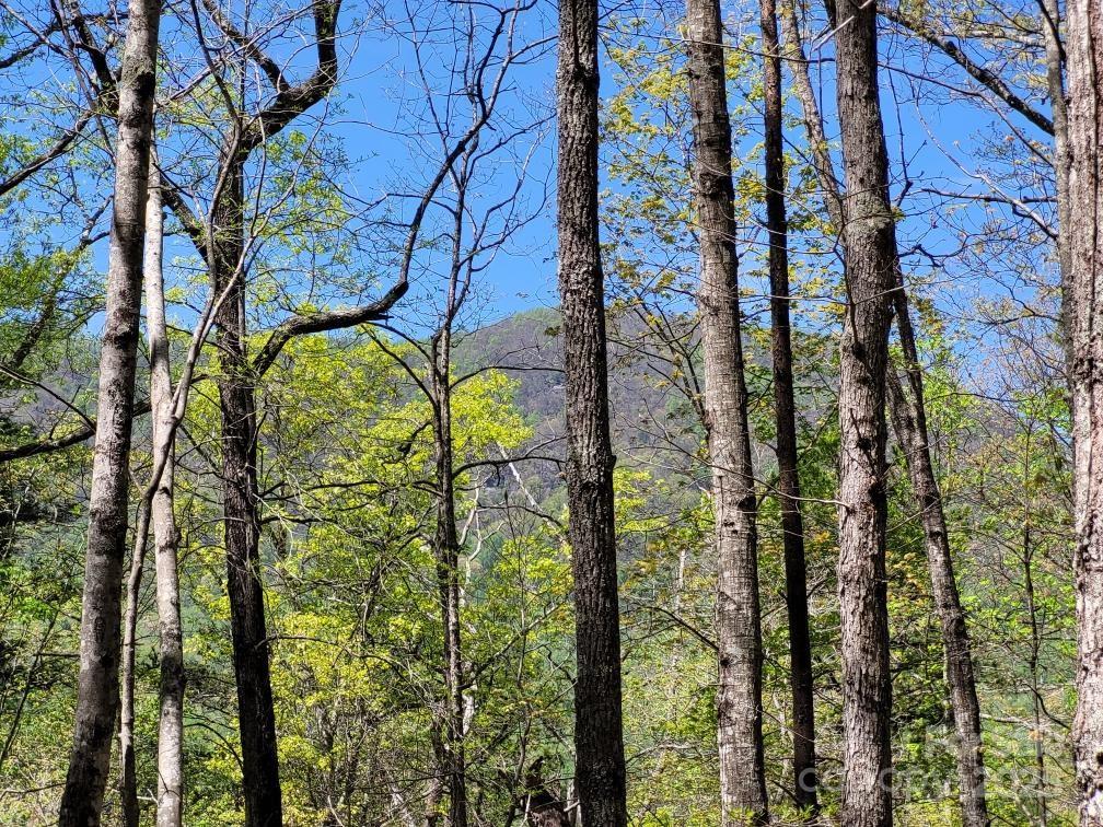 Lot 21 Little Fox Run Property Photo 5