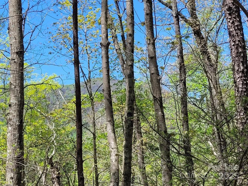 Lot 21 Little Fox Run Property Photo 6