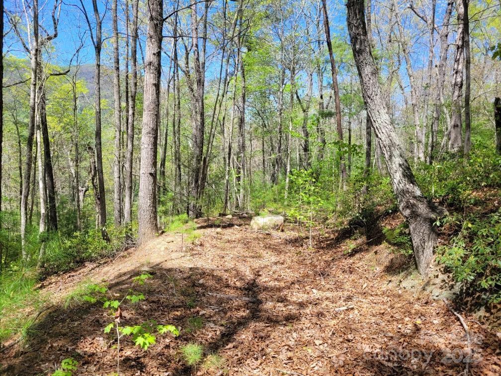 Lot 21 Little Fox Run Property Photo 7