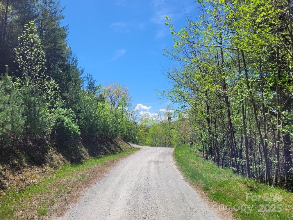 Lot 21 Little Fox Run Property Photo 9