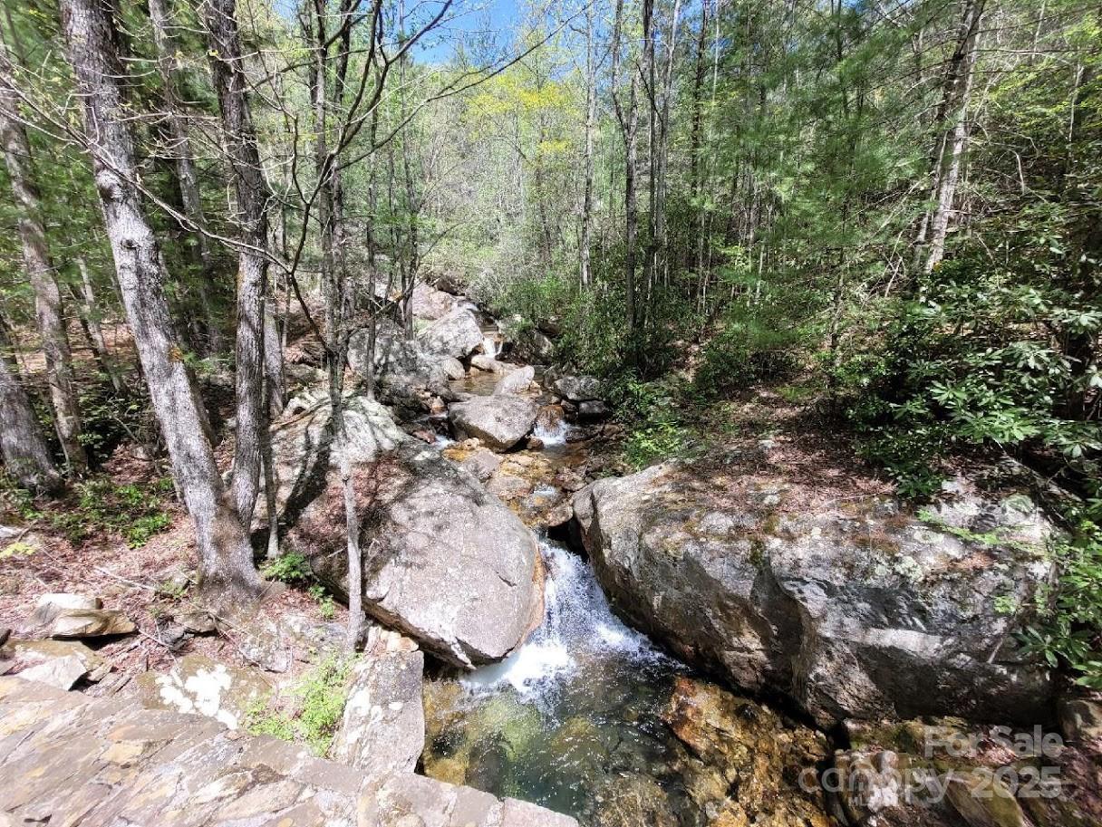 Lot 21 Little Fox Run Property Photo 13