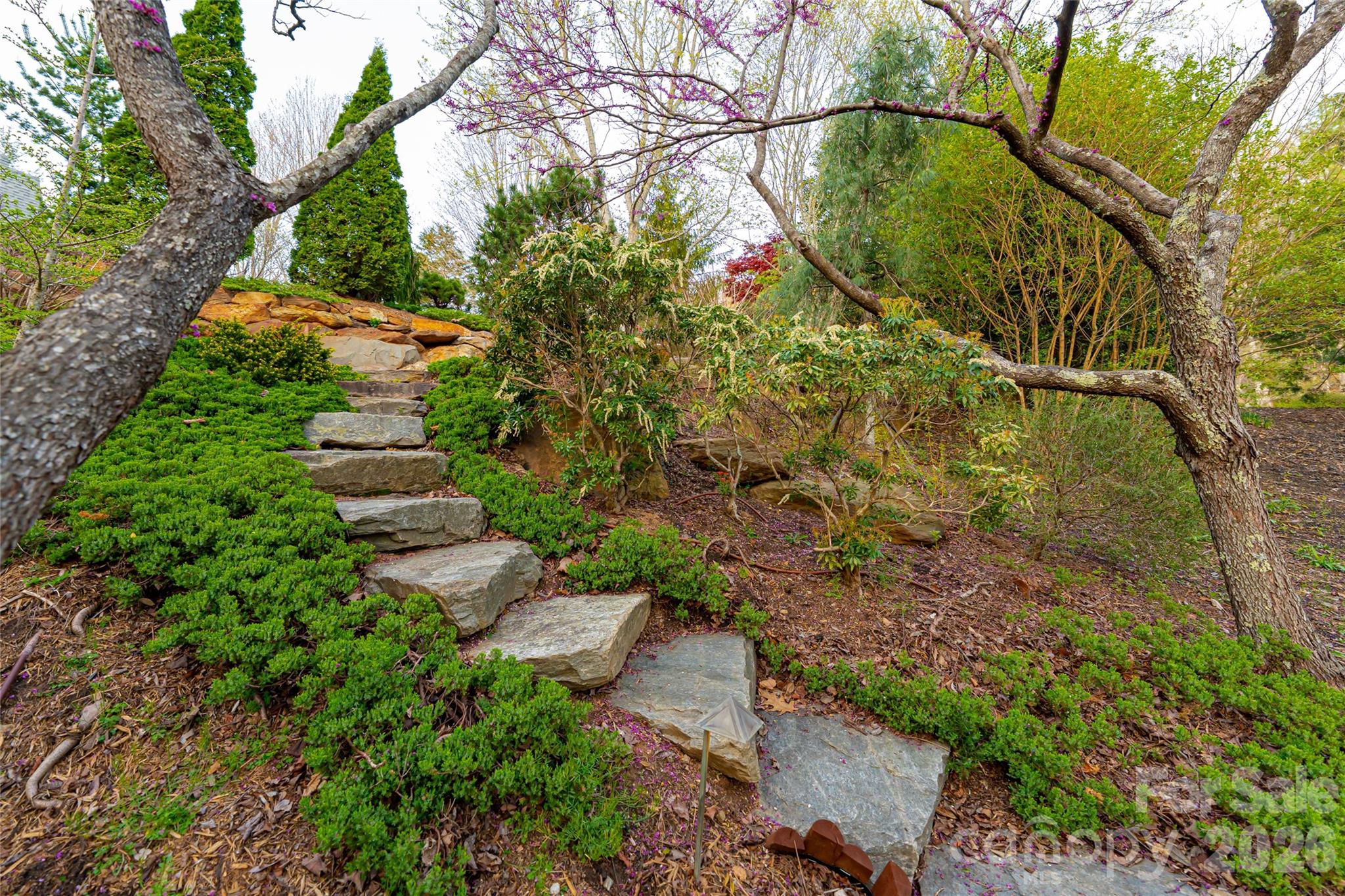 256 Senator Reynolds Road Property Photo 39