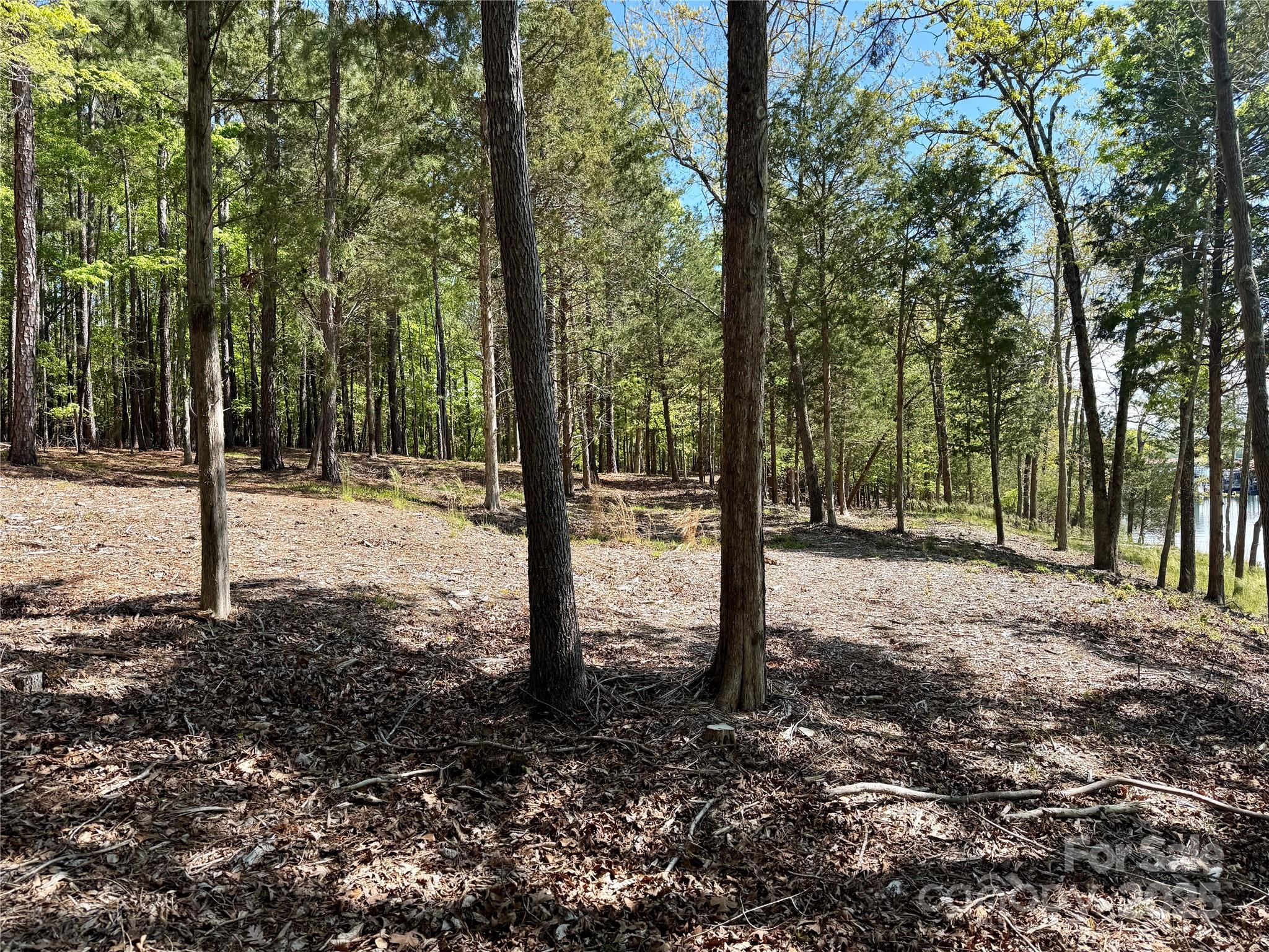 4095 Kingfisher Drive Property Photo 19