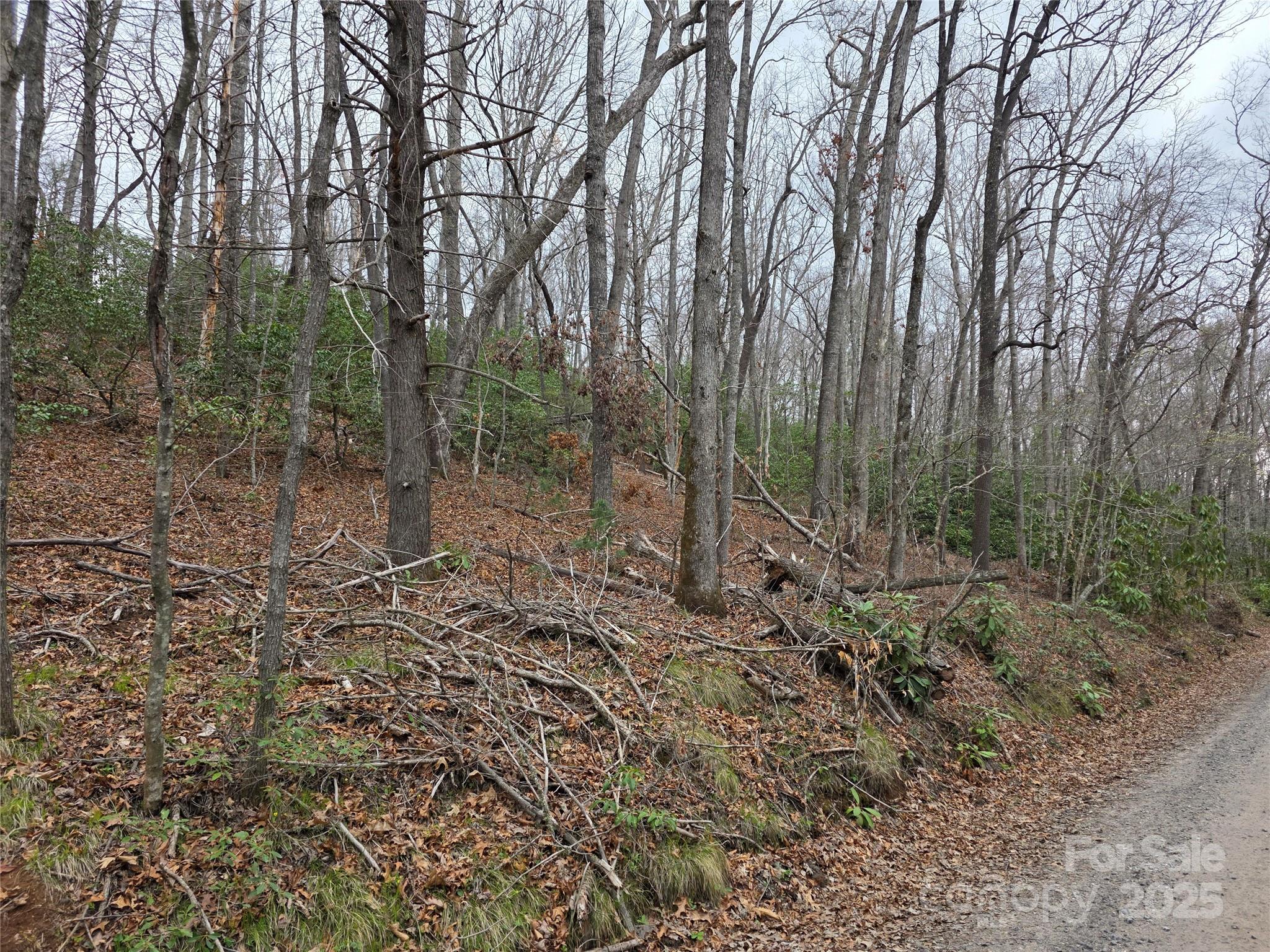 Lot 12 Patton Thicket Road Property Photo