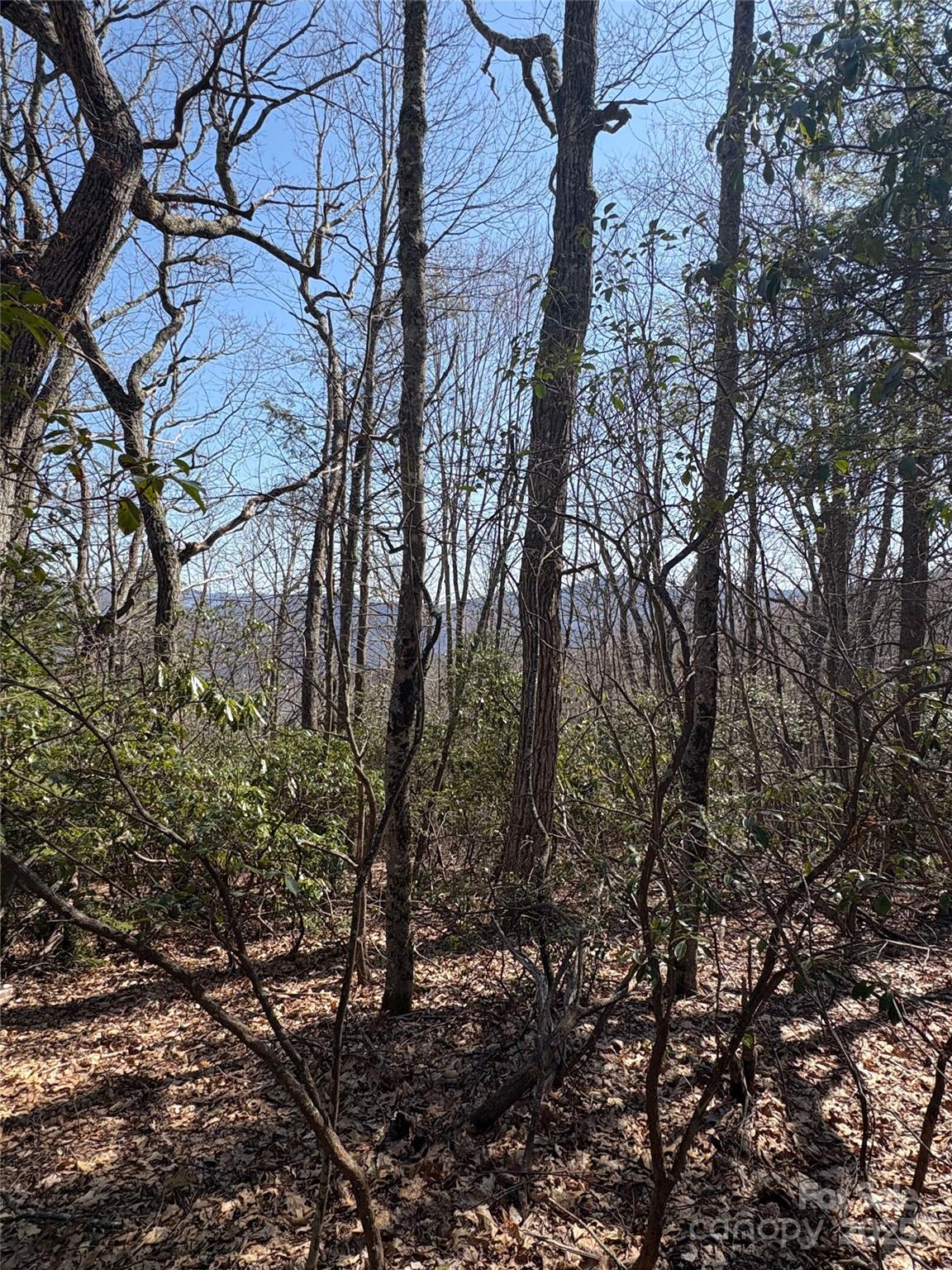 Tbd Leatherwood Road 24b Property Photo