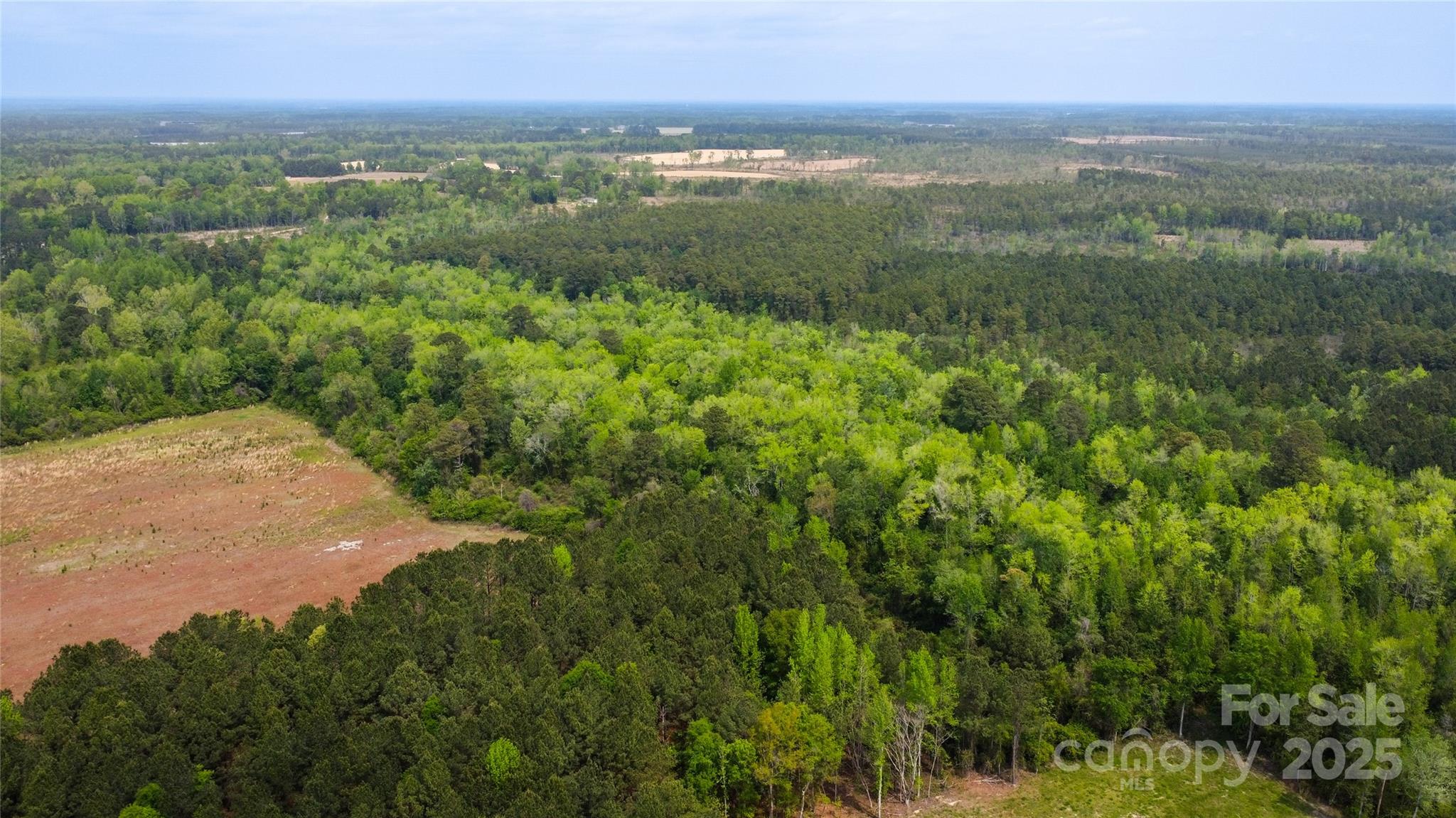 4749 Draughon Road Property Photo 6