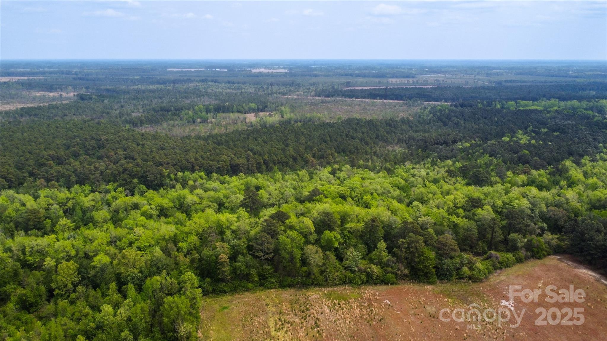 4749 Draughon Road Property Photo 8