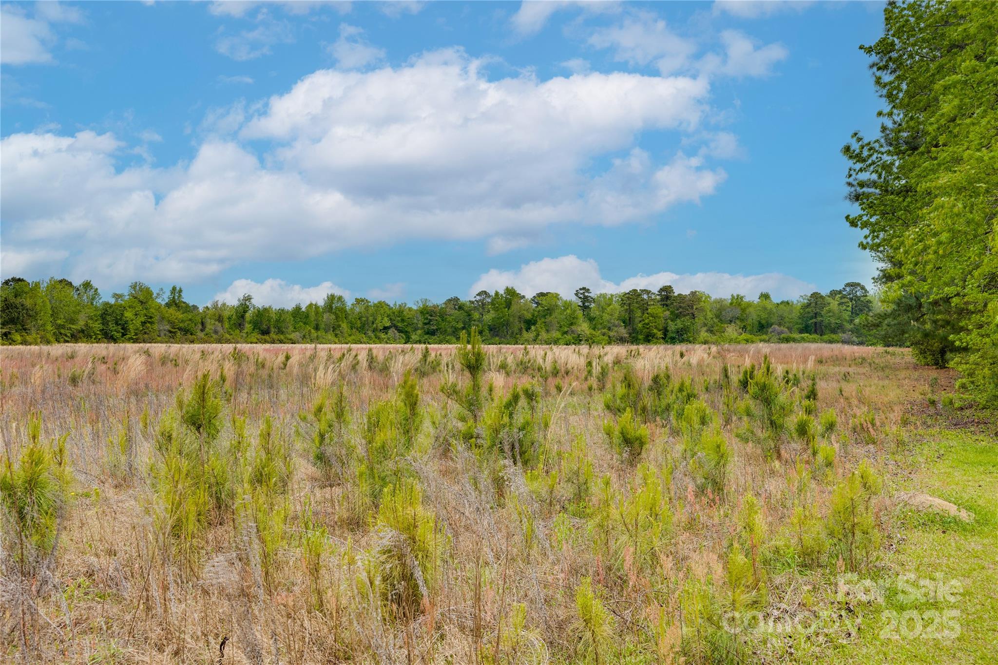 4749 Draughon Road Property Photo 25