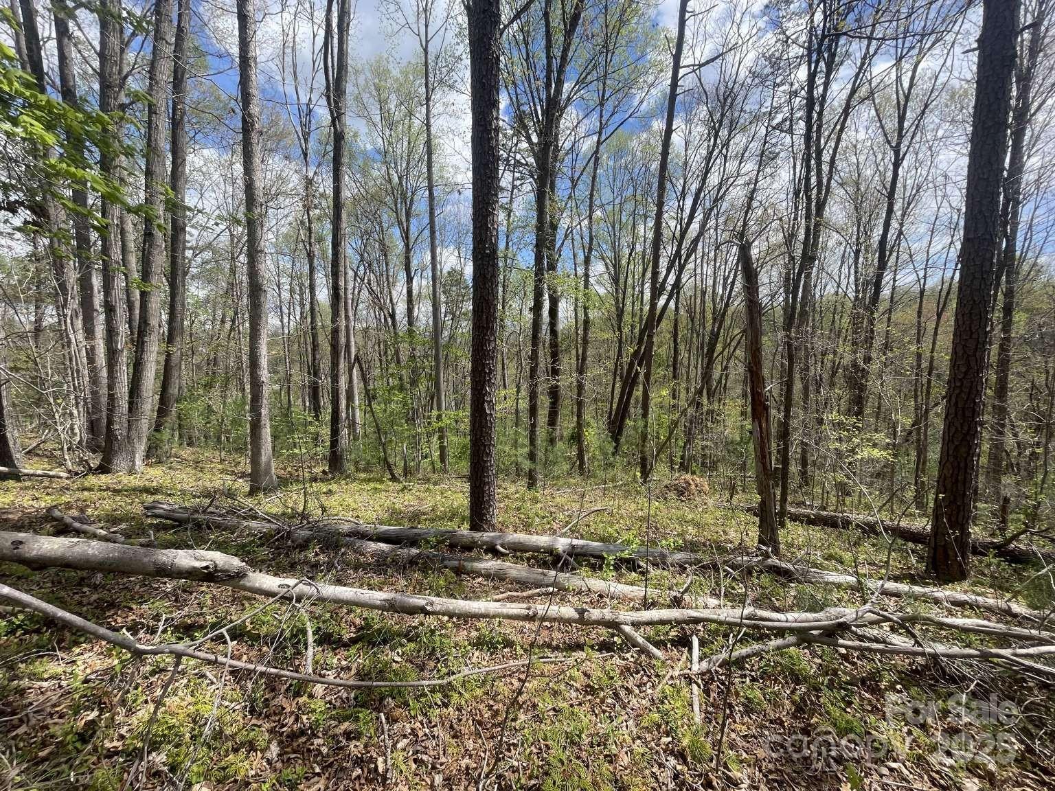 161 Richmond Ridge Road Property Photo 3