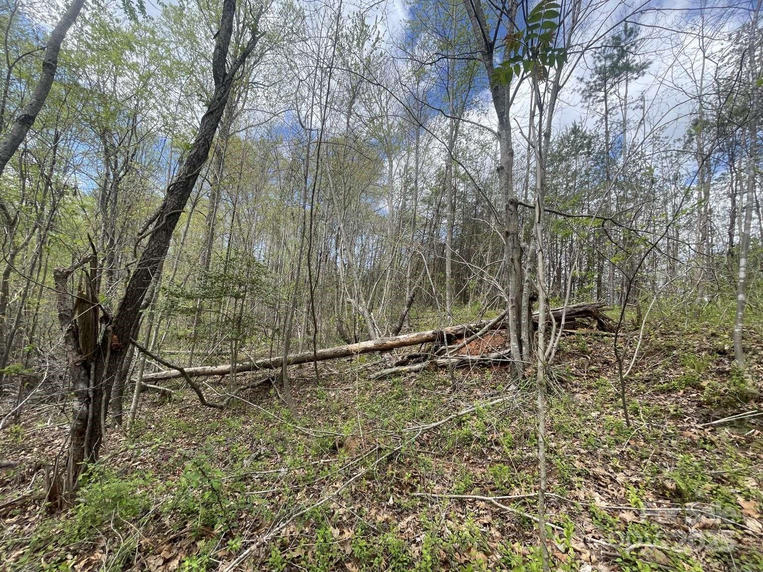 161 Richmond Ridge Road Property Photo 7