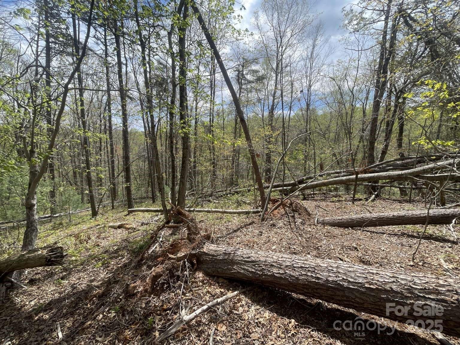 161 Richmond Ridge Road Property Photo 8