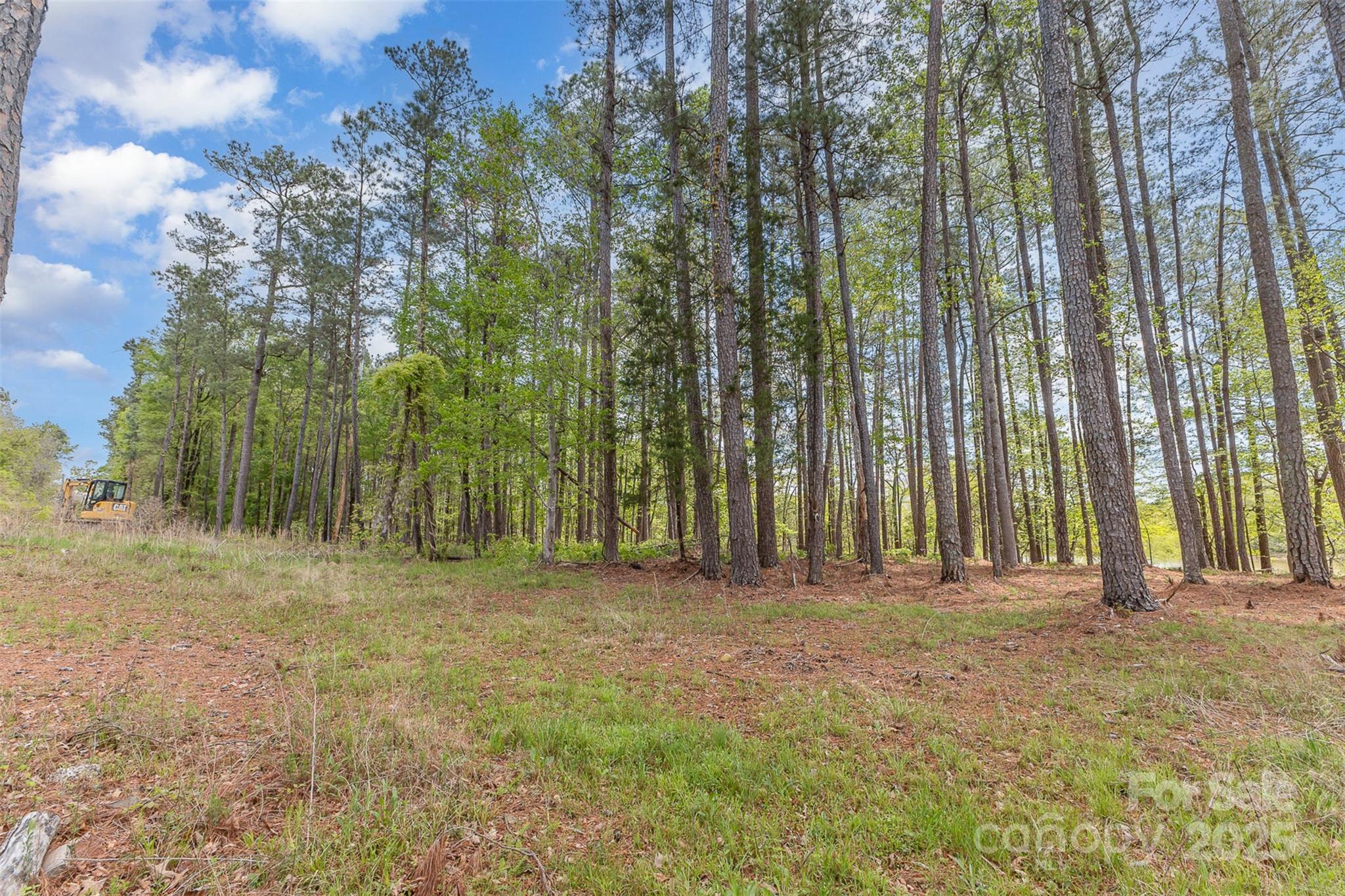 00 Tract 3 Off Charlotte Highway Property Photo 2