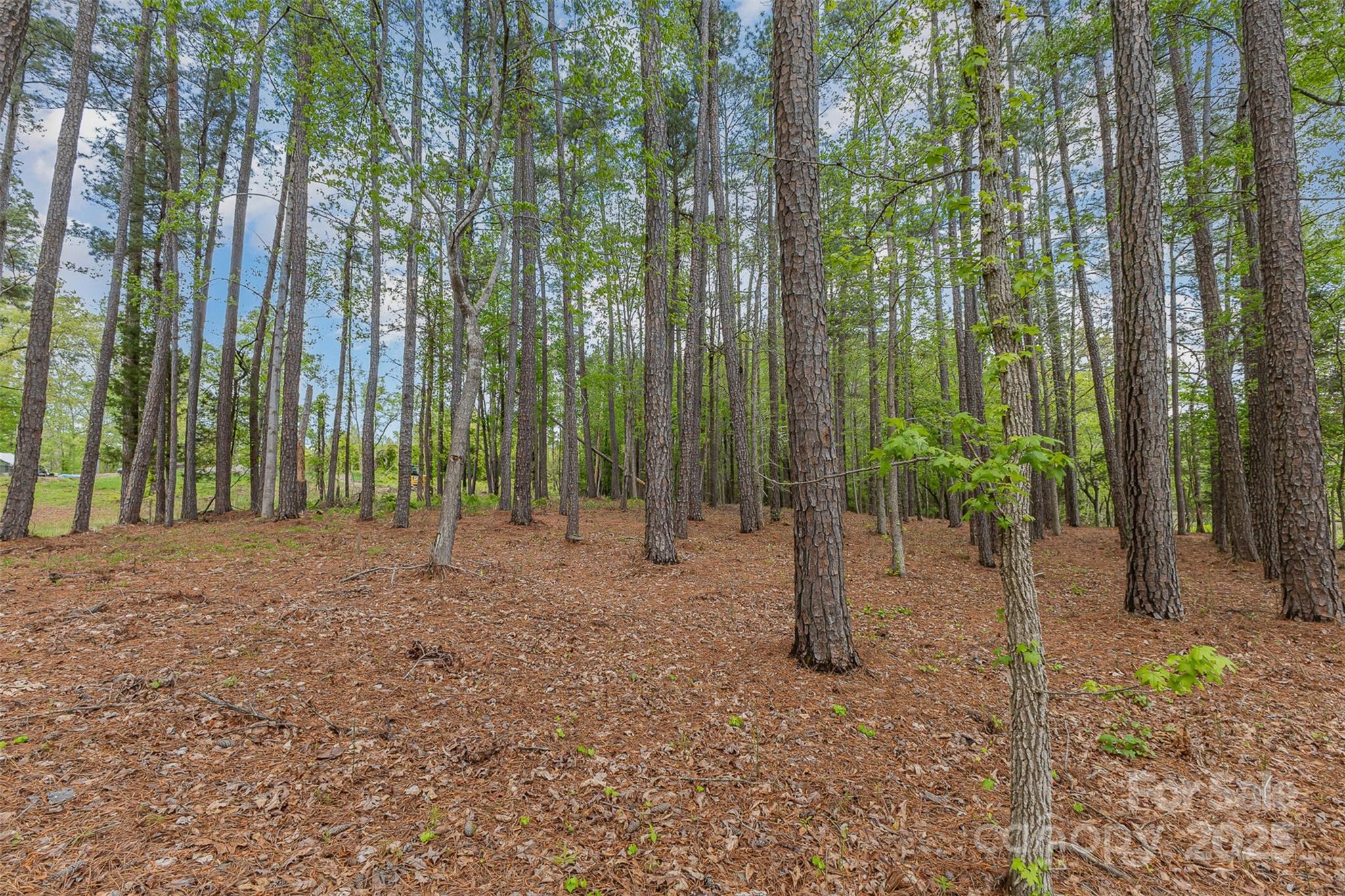 00 Tract 3 Off Charlotte Highway Property Photo 3