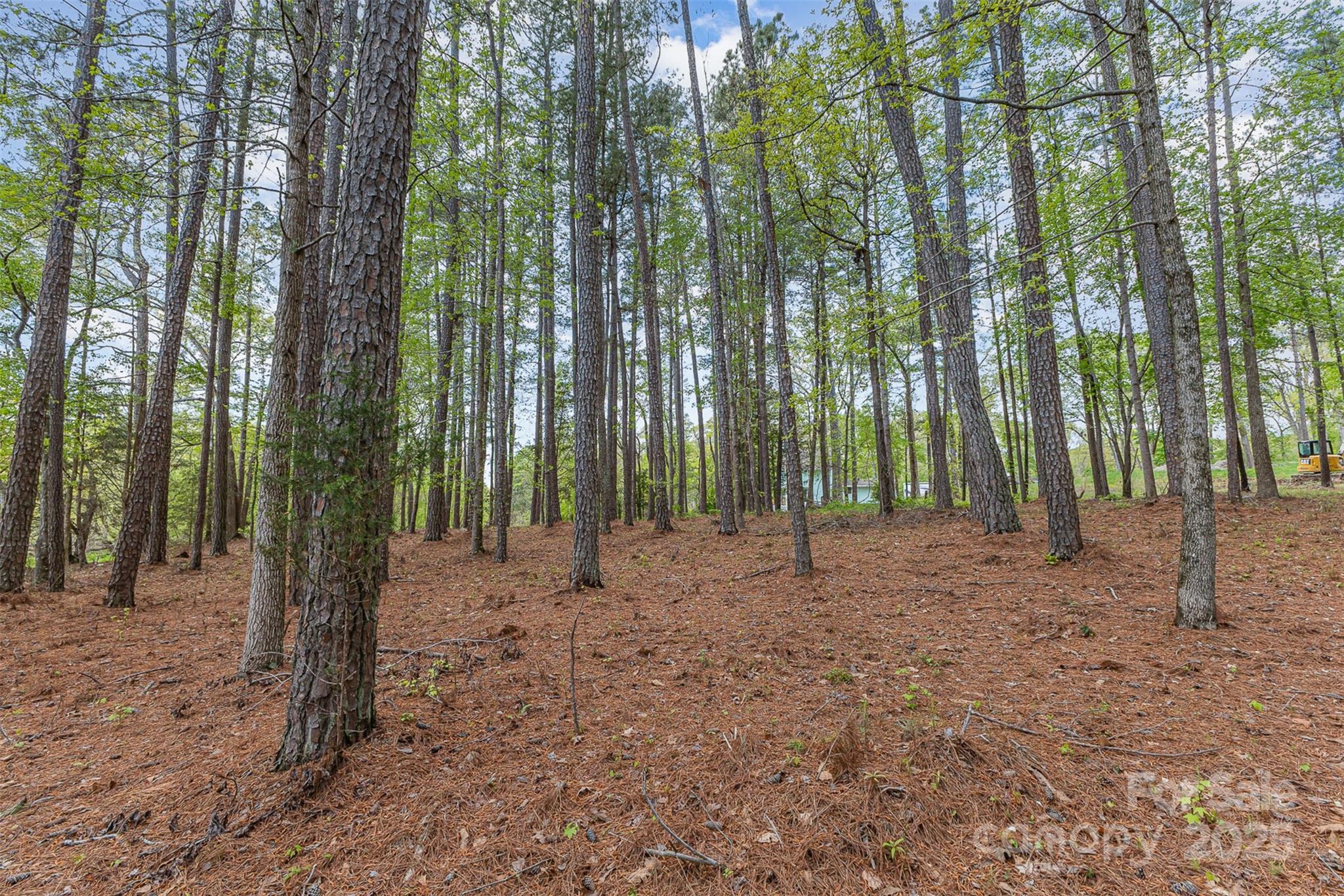 00 Tract 3 Off Charlotte Highway Property Photo 4