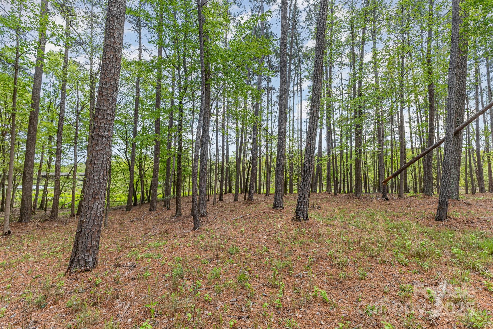 00 Tract 3 Off Charlotte Highway Property Photo 5