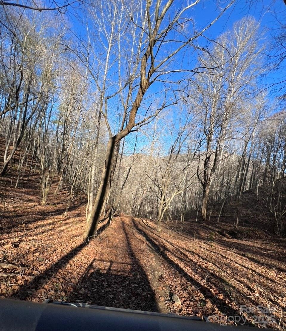 12982 Us 19w Highway Property Photo 3
